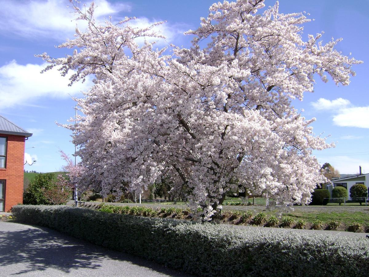 开阔视野汽车旅馆 Cheviot 外观 照片